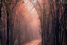 虎扑社区官网:记者:国际比赛日期间有球员试图说服恩佐加盟马竞,但被拒绝.