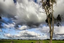 虎扑社区官网：体育产业独立评论19小时前.